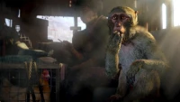 3. Far Cry 4 PL (PC) (klucz UBISOFT CONNECT)